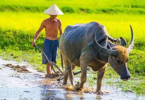 chúng ta đang chứng kiến ​​sự phát triển theo thời gian thực của AI